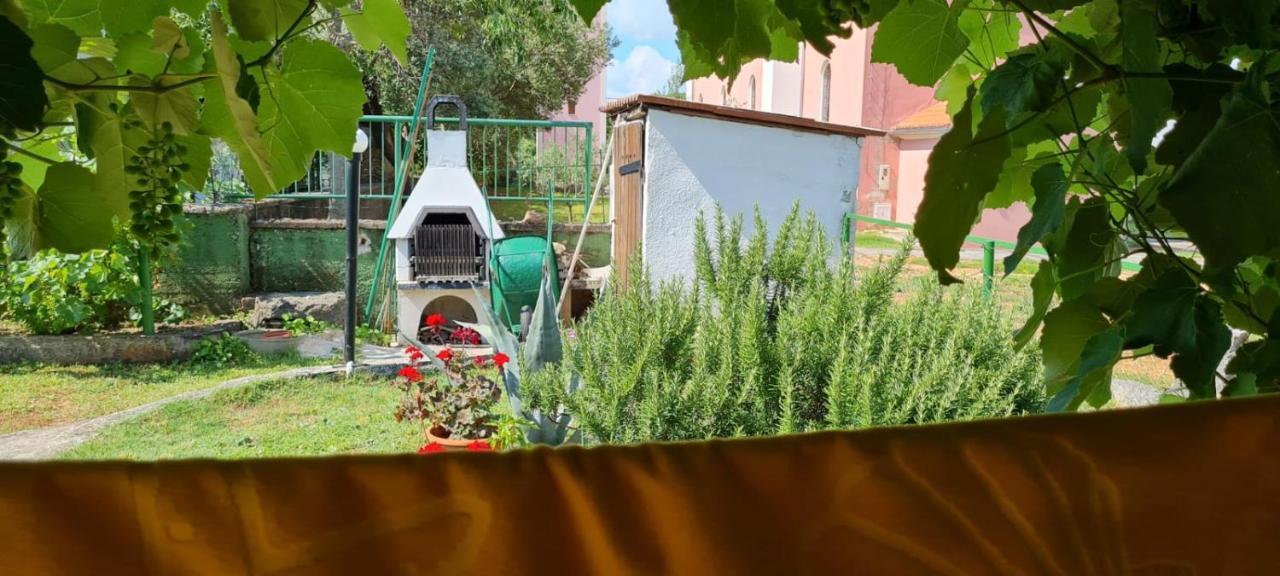 Apartmani Centar Seline Paklenica Экстерьер фото